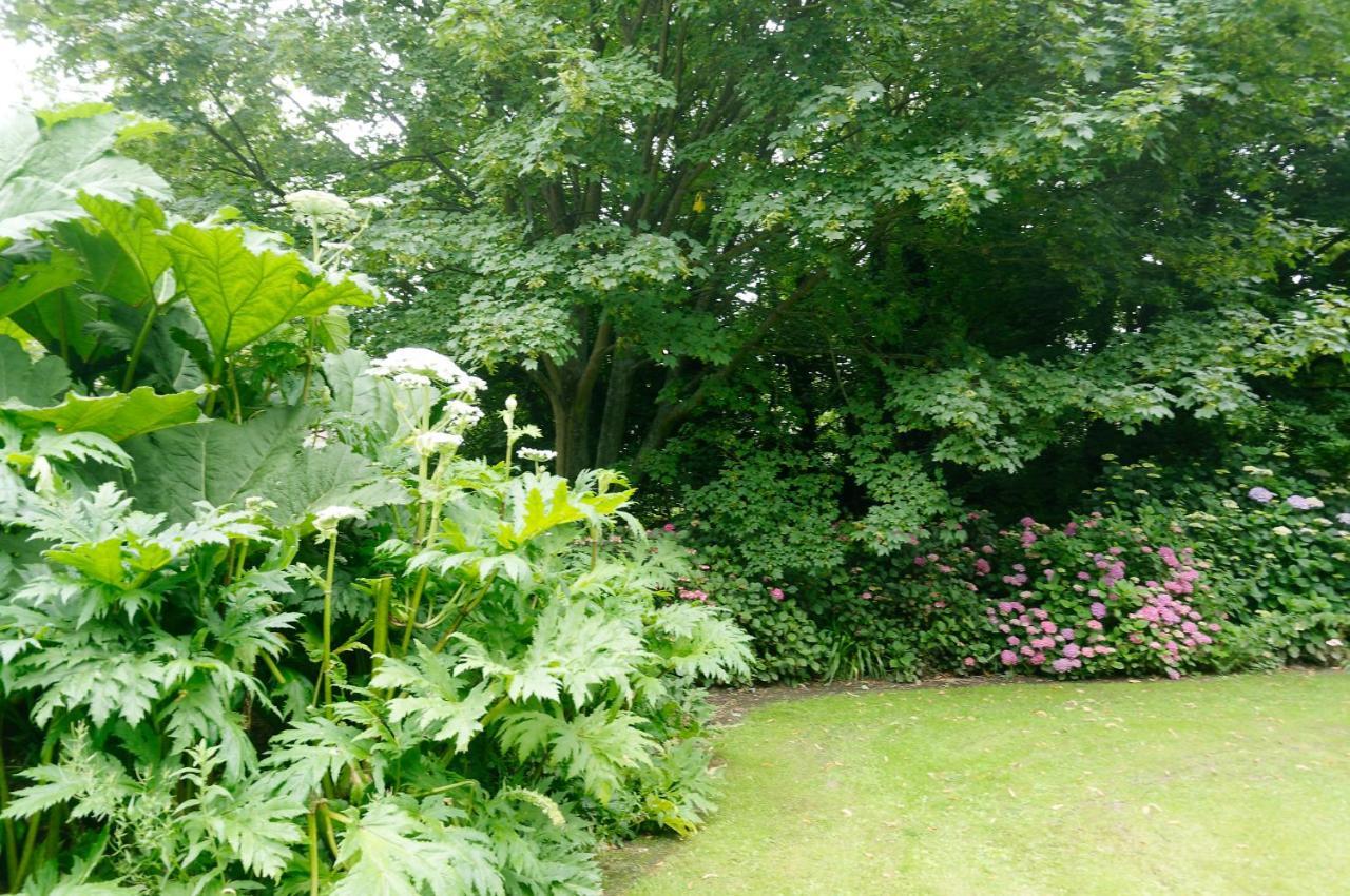Le Cottage Bordeaux-Saint-Clair ภายนอก รูปภาพ